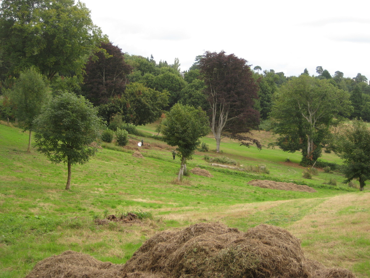 we have been doing a lot of grass raking-up lately